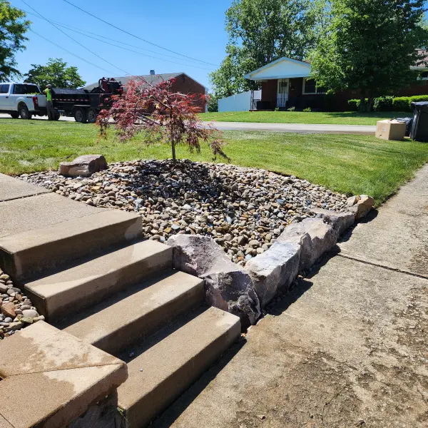 Landscape of Japanese Maple Tree By: P&S Contracting and Landscape