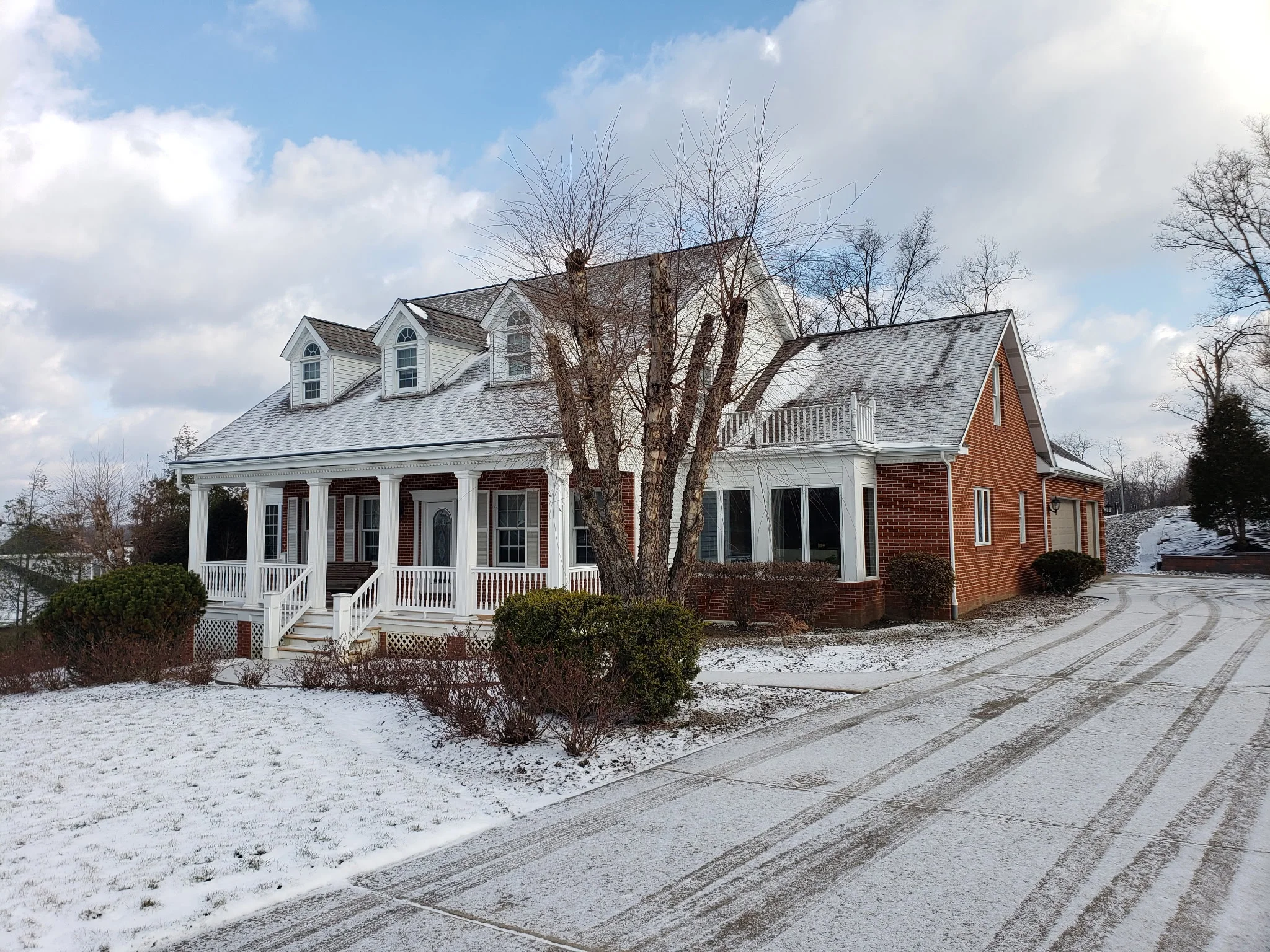 Before — Tree Removal