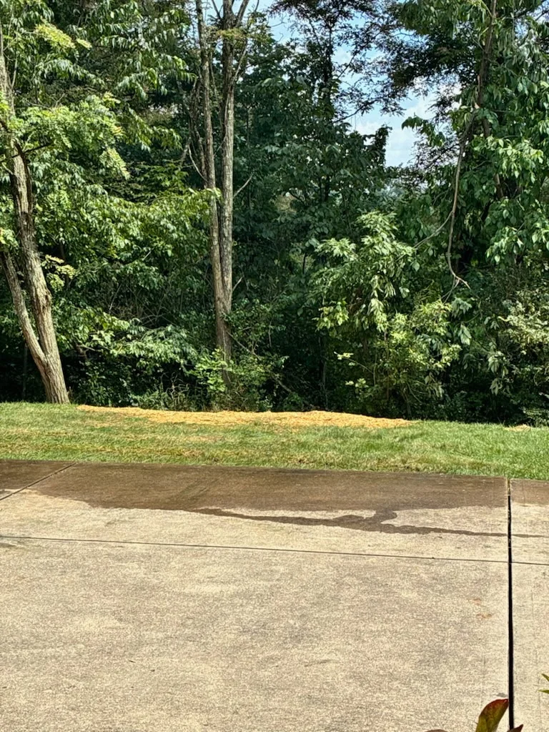 After — Split tree hazard cleanup