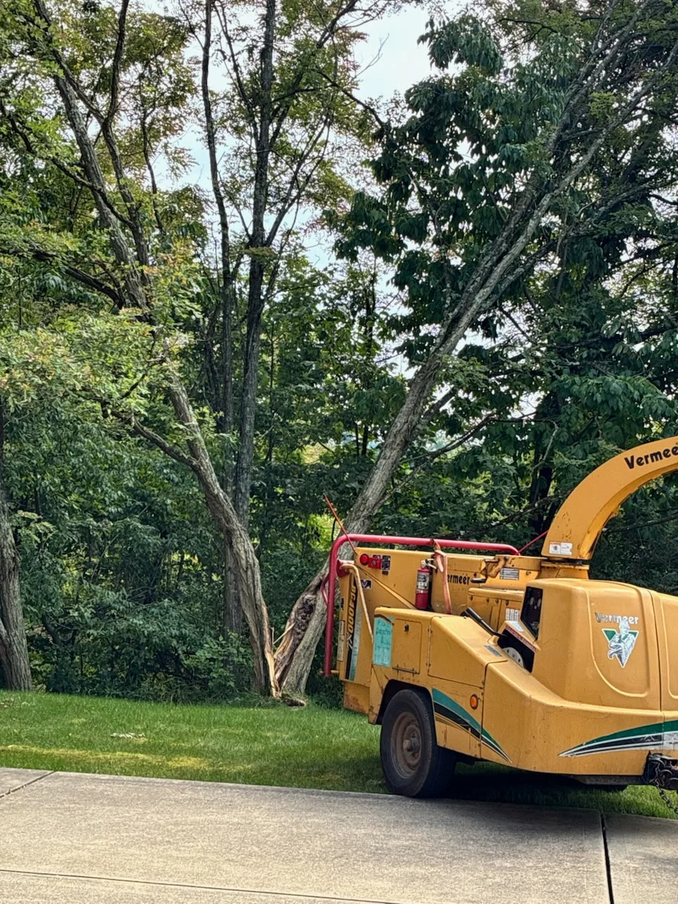 Before — Split tree hazard cleanup